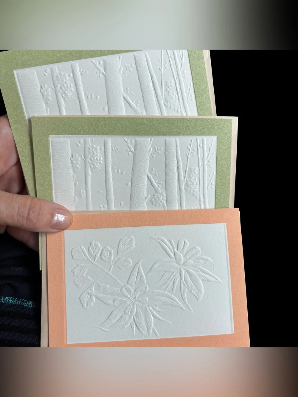 ~BUNDLE ONLY~3 VTG Current Inc Embossed Cards - Echos of the West Jay Johnson